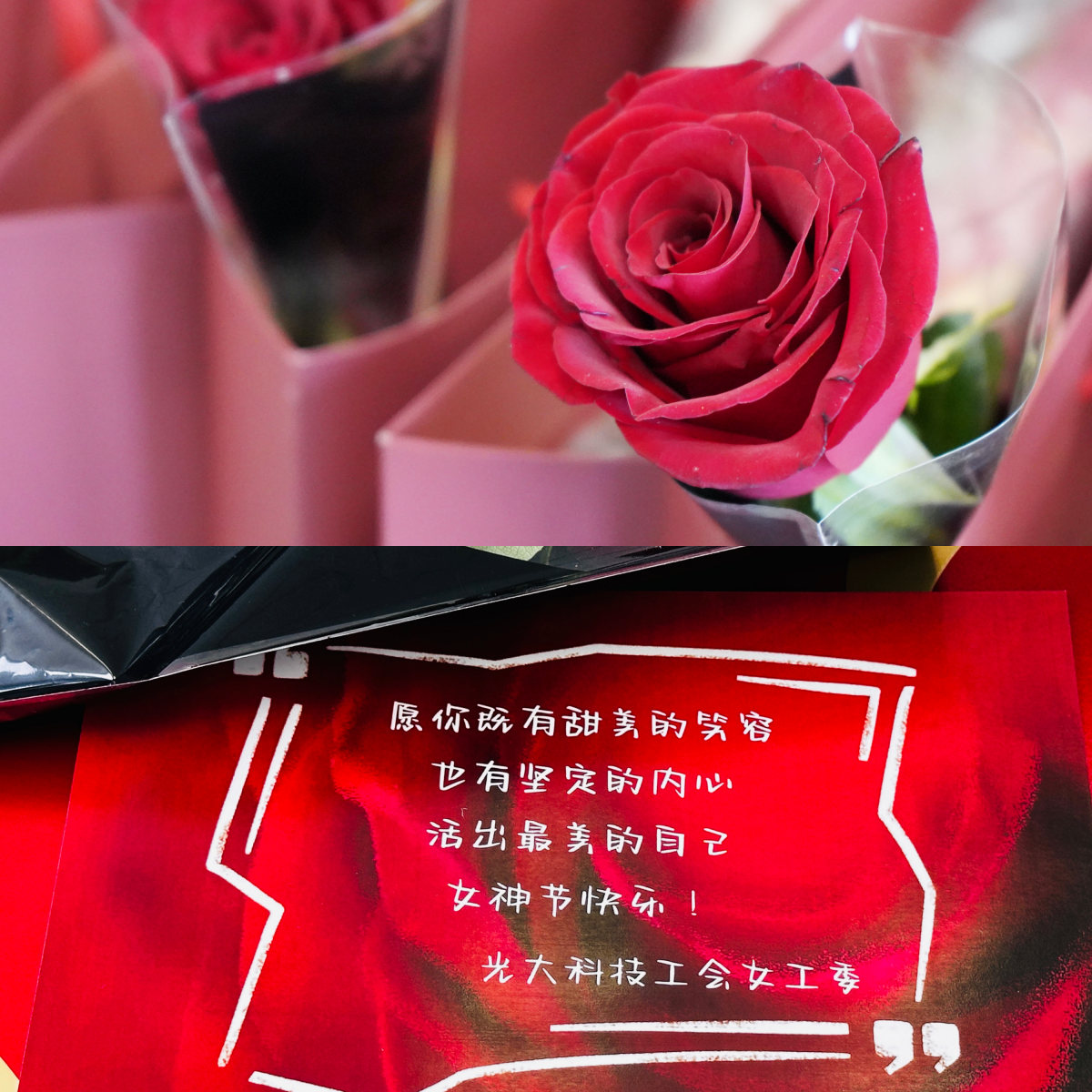 j9数字站(中国集团)公司官网