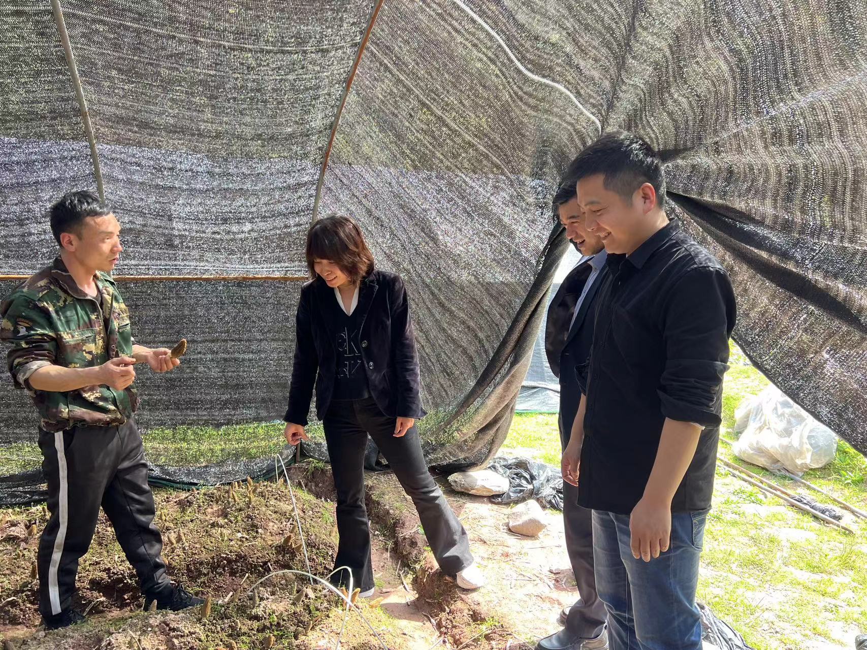 j9数字站(中国集团)公司官网