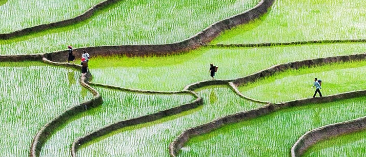 j9数字站(中国集团)公司官网