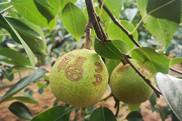 j9数字站(中国集团)公司官网